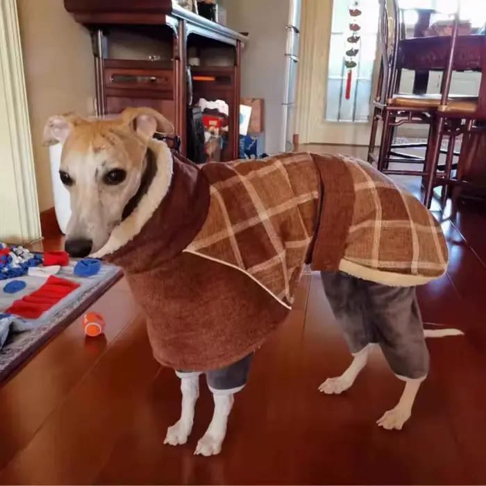 Manteau épais chaud pour chiens moyens et grands, veste pour chiens, vêtements d'hiver pour animaux 