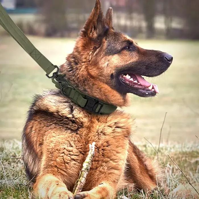 Ensemble de collier de chien durable réglable, laisse pour animal de compagnie militaire, moyen et g