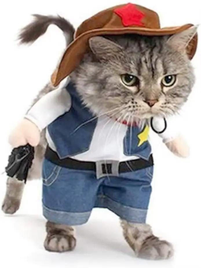 Costume d'halloween drôle pour chien et chat, vêtements de Cowboy pour chien, Costumes pour petits c