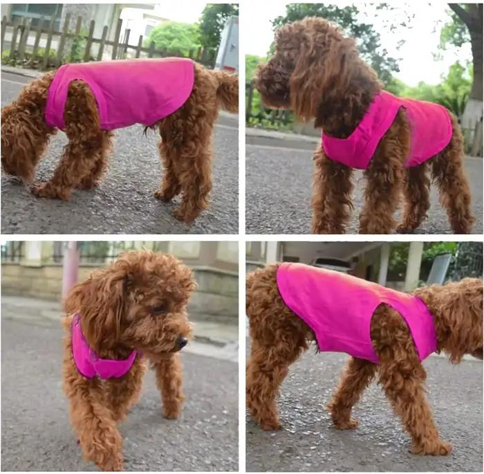 Chemises pour chiens en pur coton, vêtements vierges pour chiots, petits, moyens et grands chiens, T