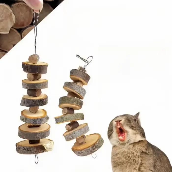 Jouet à mâcher pour animaux de compagnie, Style aléatoire, brochettes molaires en bois de pomme, jou