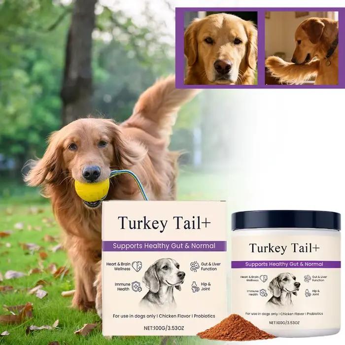 Poudre Probiotique Intestinale pour Chiens 100g Saveur Bacon Délicieuse Équilibre de la Flore Intest
