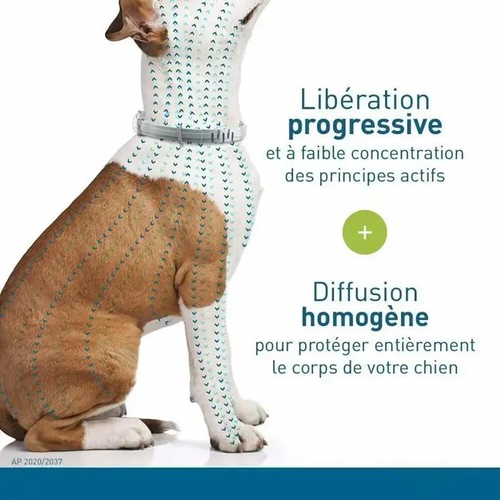 Collier Anti-puces et tiques pour chien et chat, Protection rétractable de 8 mois, pour chiot, chat,