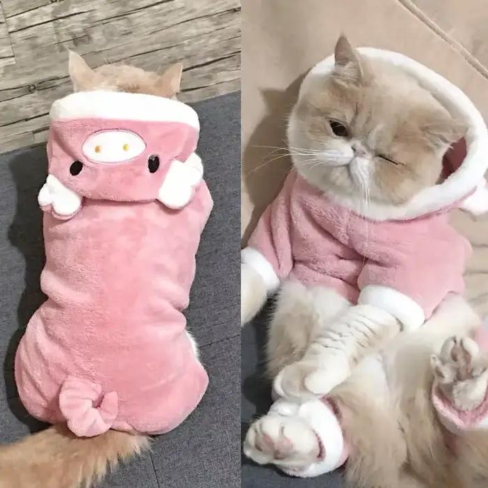 Vêtements pour animaux de compagnie, combinaisons en polaire douce et chaude pour chiens, vêtements 
