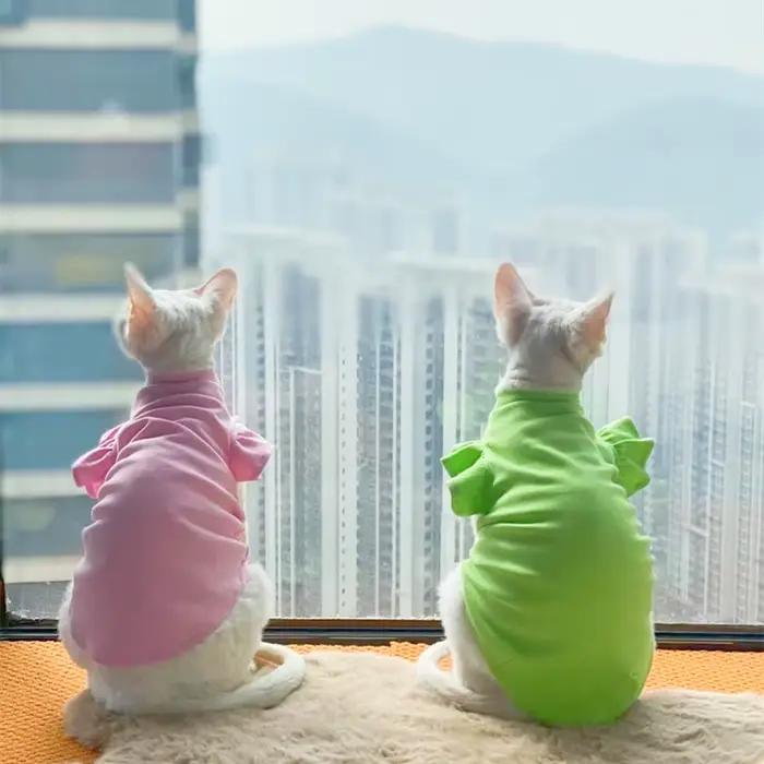 Sphynx – vêtements de luxe pour chat, robe fantaisie d'été pour chien, sans poils, petit bouledogue 