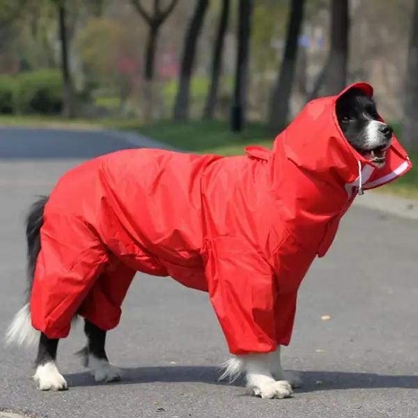 Vêtements imperméables pour chiens, combinaison de pluie imperméable pour grands, moyens et petits c