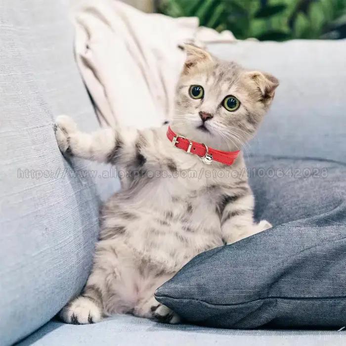 Collier mignon en cuir PU pour chiot et chat, avec cloches, pour petit chien et chaton, fournitures 