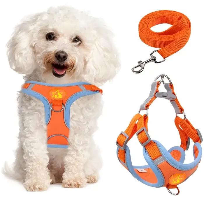 Collier réglable en plomb SFP pour animaux de compagnie, coulage respirant, laisse de marche pour ch