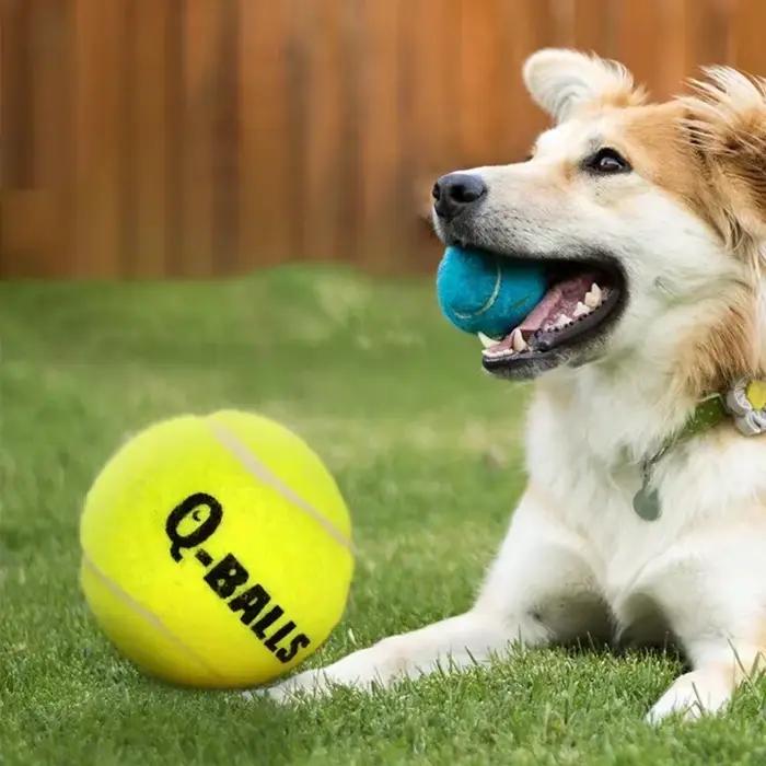 Ensemble de jouets pour chiens Q-MONSTER, balles à mâcher en caoutchouc naturel à paroi épaisse pour