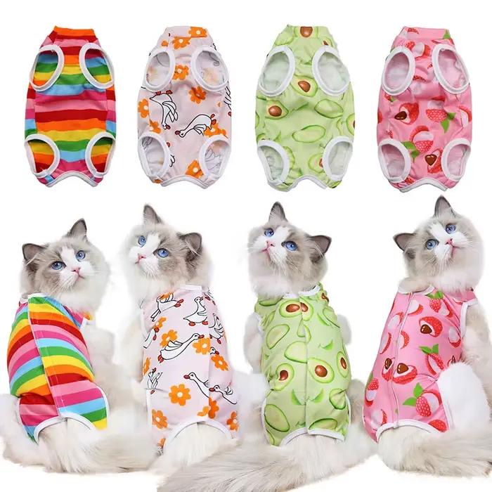 Combinaison de récupération professionnelle pour chat, pour blessures abdominales ou maladies cutané