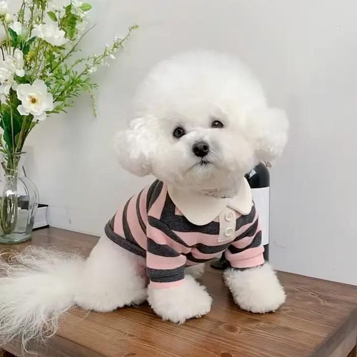 Polo d'été pour chiens, vêtements pour chiots, Bichon Frise, Chihuahua, sweat-shirt à rayures pour c