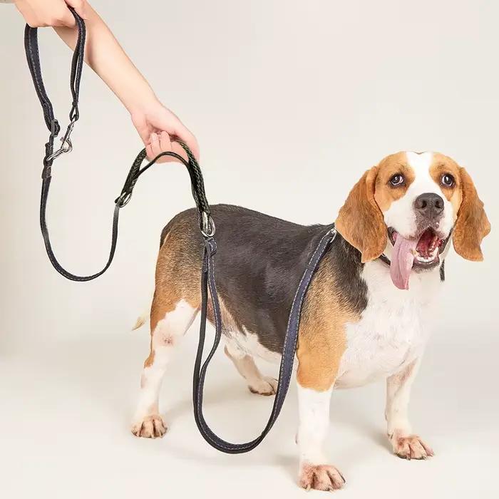 Laisse multifonctionnelle en tissu Jean pour chien, longueur réglable, mains libres, laisse à Double
