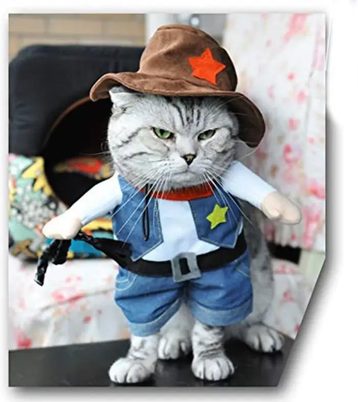 Costume d'halloween drôle pour chien et chat, vêtements de Cowboy pour chien, Costumes pour petits c