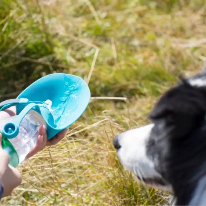 Bouteille d'eau Portable de Sport en Silicone pour chien, bol de voyage pour chiot et chat, distribu