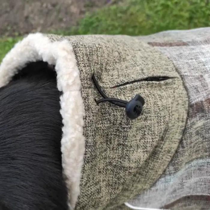 Vêtements d'hiver chauds en polaire pour grands chiens, veste pour animaux de compagnie à imprimé éc