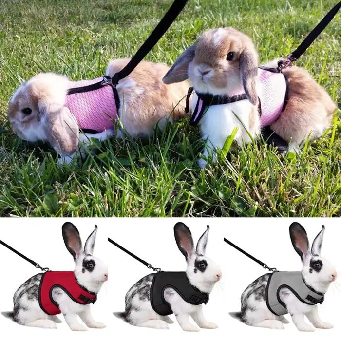 Harnais et laisse réglables solides pour animaux de compagnie, pour lapin, chat, furets, marche en p