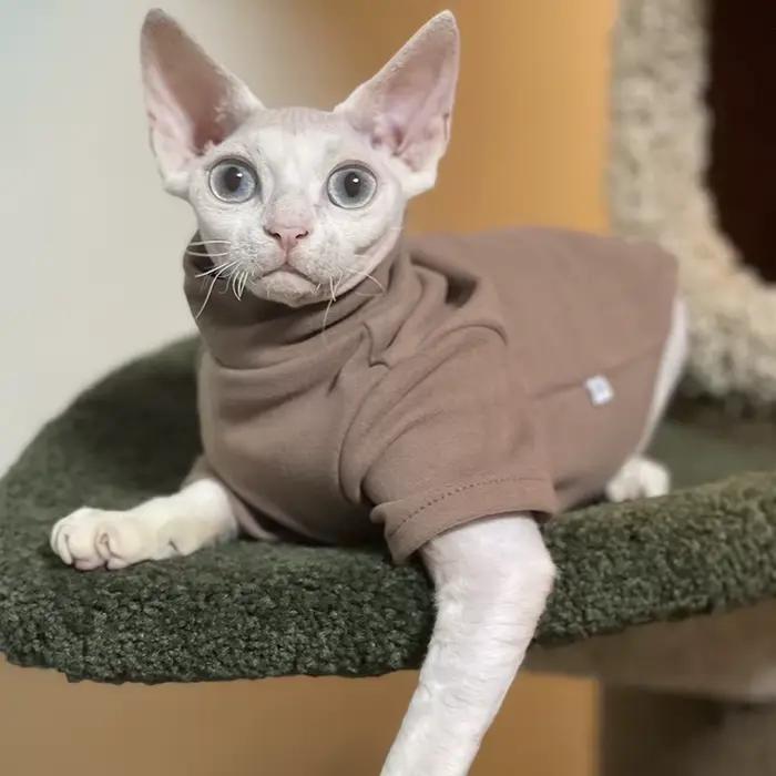 Sphynx chat vêtements bébé coton doux automne hiver chaton petit chien vêtements pour Cornish Devon 