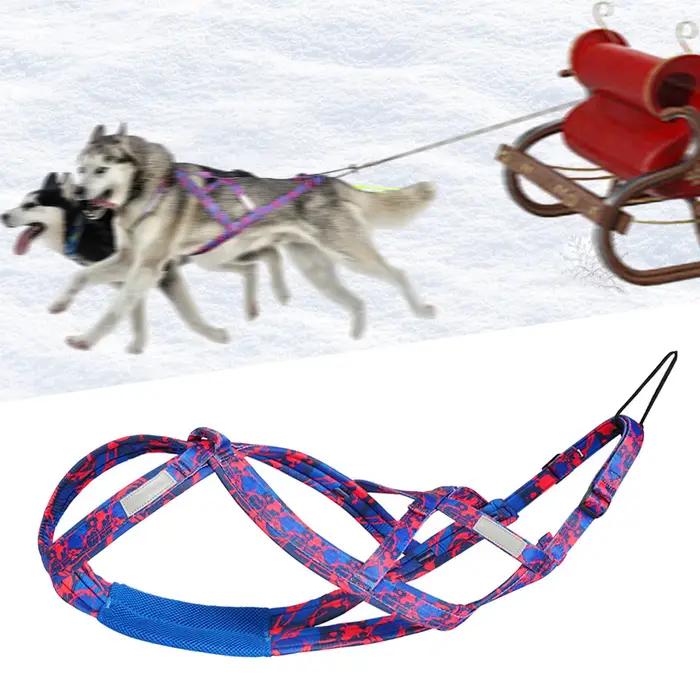 Harnais de traîneau pour chien Sport Skijoring professionnel Bikejoring Husky harnais de traction de
