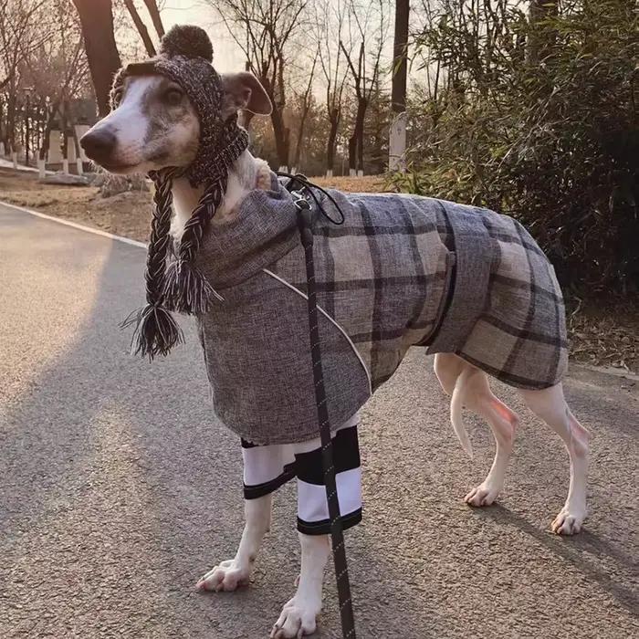 Manteau épais chaud pour chiens moyens et grands, veste pour chiens, vêtements d'hiver pour animaux 