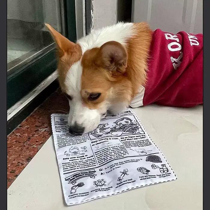 Jouet sonore anti-déchirure pour chien, 1 pièce, simulation de journal couinant, carte de jeu K Q J,