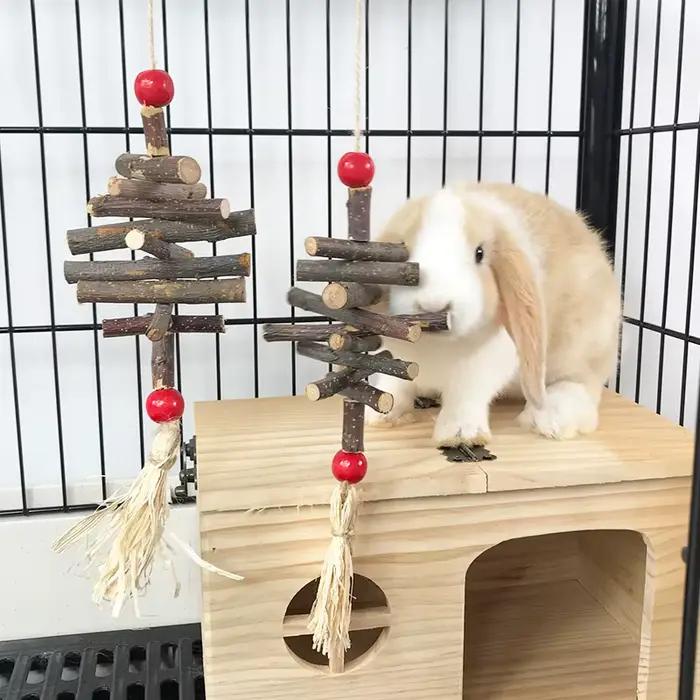 Jouet à mâcher en bois de pomme naturel, 1 pièce, ficelle suspendue pour petits animaux de compagnie
