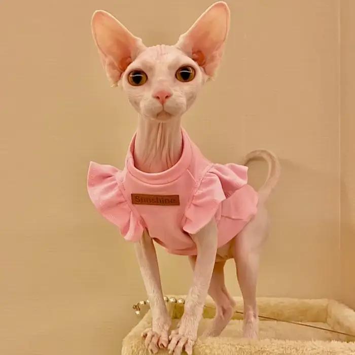 Sphynx – vêtements de luxe pour chat, robe fantaisie d'été pour chien, sans poils, petit bouledogue 