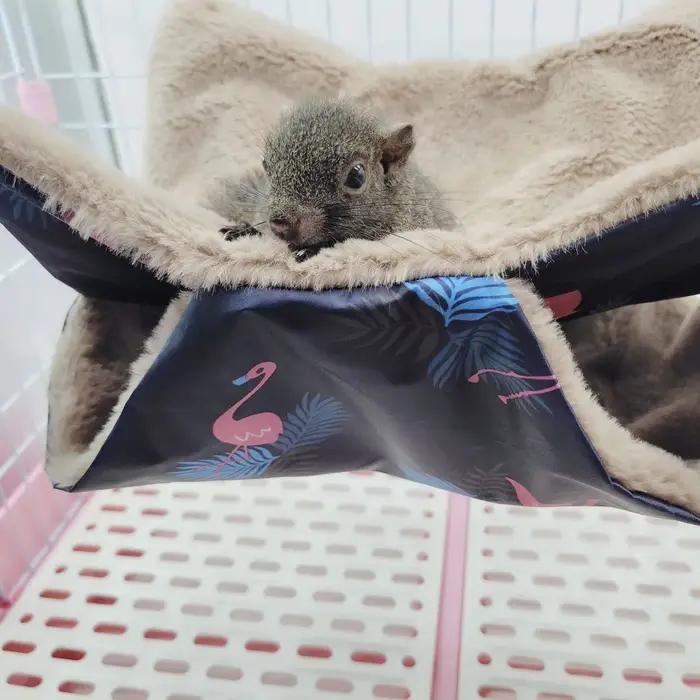 Hamac chaud d'hiver pour animaux de compagnie, Double couche épaisse en peluche pour Hamster, Chinch