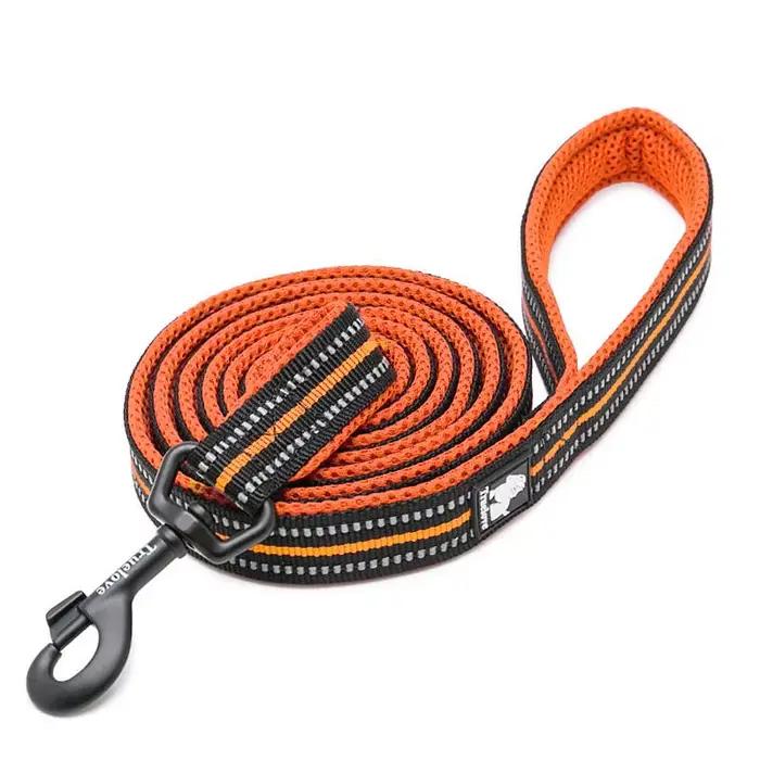 Truelove – laisse en Nylon pour chien, accessoire de course et d'entraînement, réfléchissant, violet
