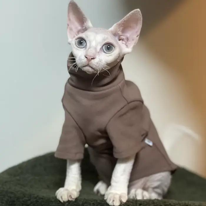 Sphynx chat vêtements bébé coton doux automne hiver chaton petit chien vêtements pour Cornish Devon 