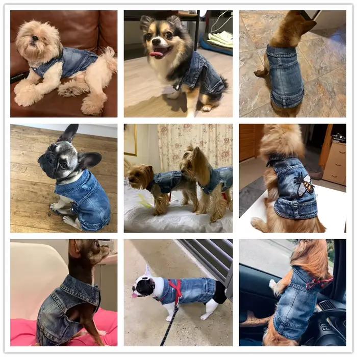 Veste de Cowboy élégante pour chien, vêtements de printemps en Denim pour chien, gilet pour chiot, C