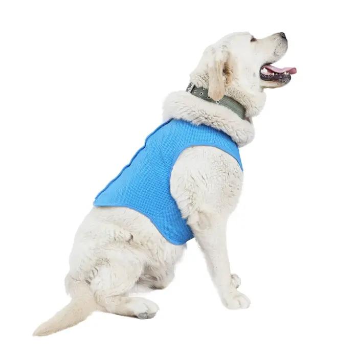 Gilet rafraîchissant pour animaux de compagnie pour chiens et chats, veste rafraîchissante d'été ave
