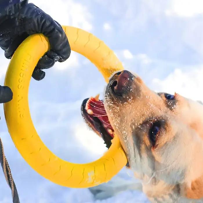 Jouets d'entraînement interactifs pour animaux de compagnie, extracteur d'anneaux pour chiens moyens