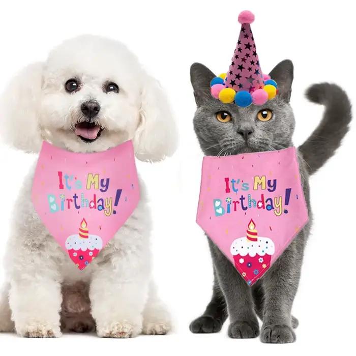 Casquettes d'anniversaire pour animaux de compagnie, conception de bavoirs mignons, vêtements de sau