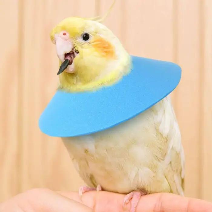Cône de récupération réglable pour petits animaux – Collier anti-léchage doux et confortable pour le