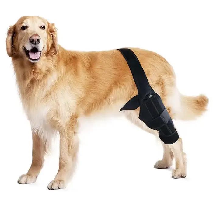 Genouillère réglable pour chien, genouillères pour animal de compagnie, soutien avec Nina iate, bles
