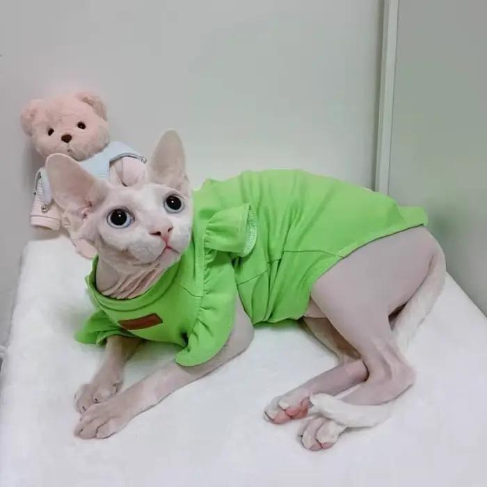 Sphynx – vêtements de luxe pour chat, robe fantaisie d'été pour chien, sans poils, petit bouledogue 