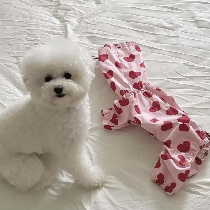 Manteau imperméable pour chien, nuages mignons, amour, épais, imperméable, tout compris, Poncho de p