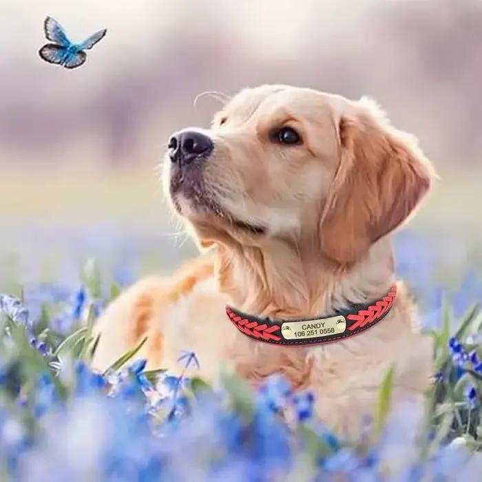Collier de chien personnalisé en cuir rembourré pour chiens, colliers tressés, gravure gratuite, éti