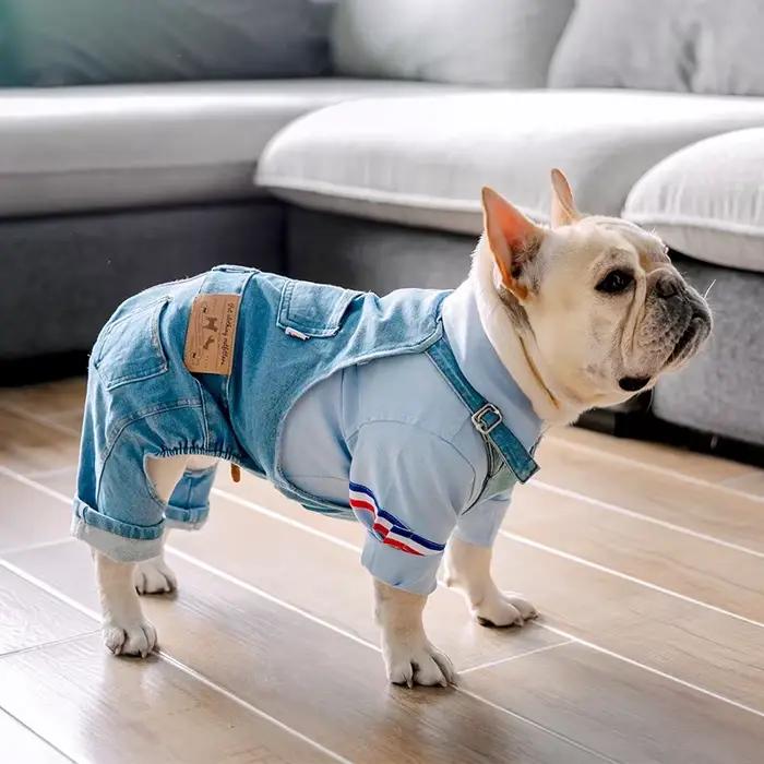 Denim chien manteau automne hiver animaux chiens vêtements gros chien vêtements mode vêtements pour 