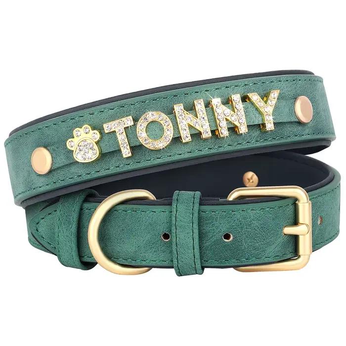 Collier en cuir personnalisé pour petits et moyens chiens, breloques de bricolage, nom gratuit, acce