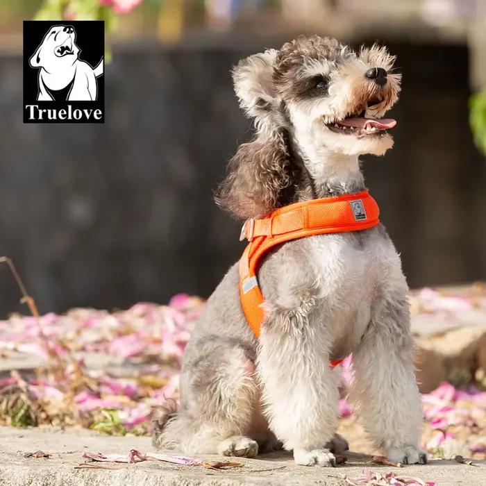 Truelove harnais pour animaux de compagnie pour chiens de petite et moyenne taille maille en Nylon r