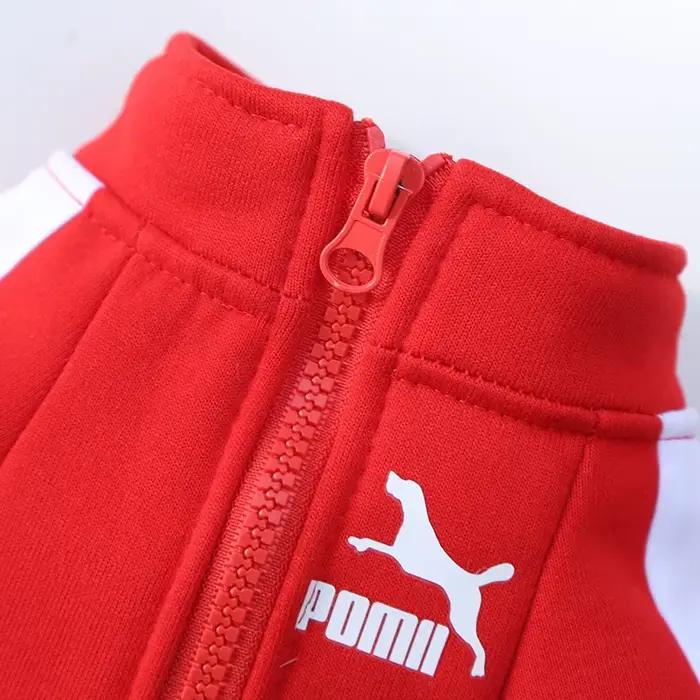 Veste de baseball pour chien, vêtements d'hiver pour chiens de petite et moyenne taille, gilet pour 