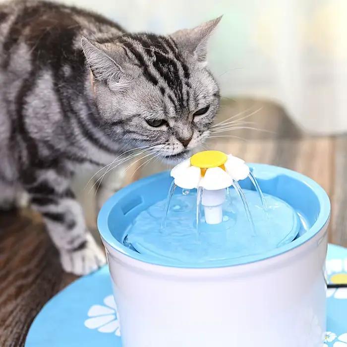 Tête de buse de remplacement en forme de fleur pour chat, rond, cubique, en acier inoxydable, distri