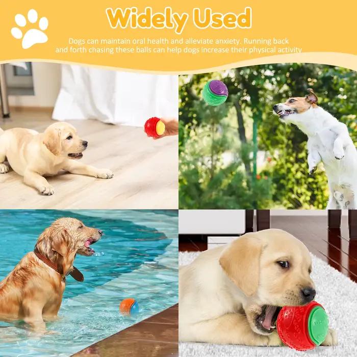 Boules grinçantes pour chiens, 6 pièces, jouets interactifs TPR, jouet à mâcher pour chien, nettoyag