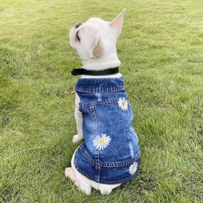 XS-2XL Denim chien vêtements Cowboy chien manteau chiot vêtements pour petits chiens jean veste chie