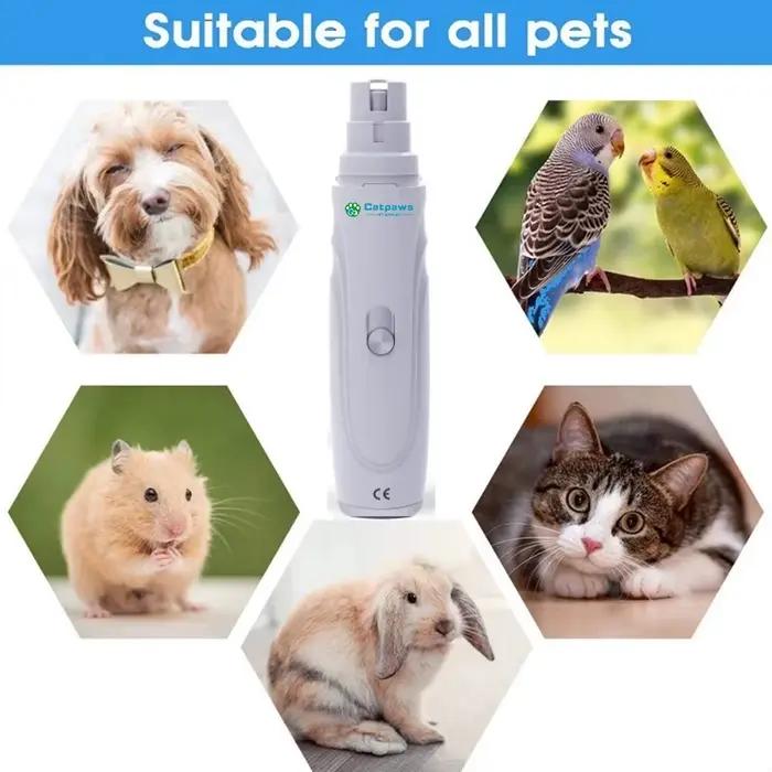 Broyeur électrique de griffes de chien, Rechargeable par USB, coupe-ongles électrique silencieux pou