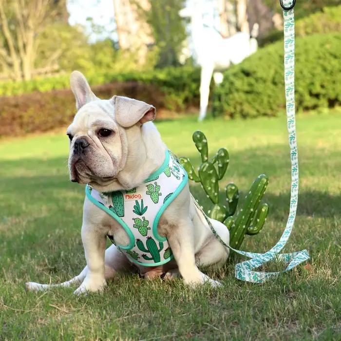 Ensemble de laisse de harnais bouledogue français en maille de Nylon réglable, mignon imprimé chiot 