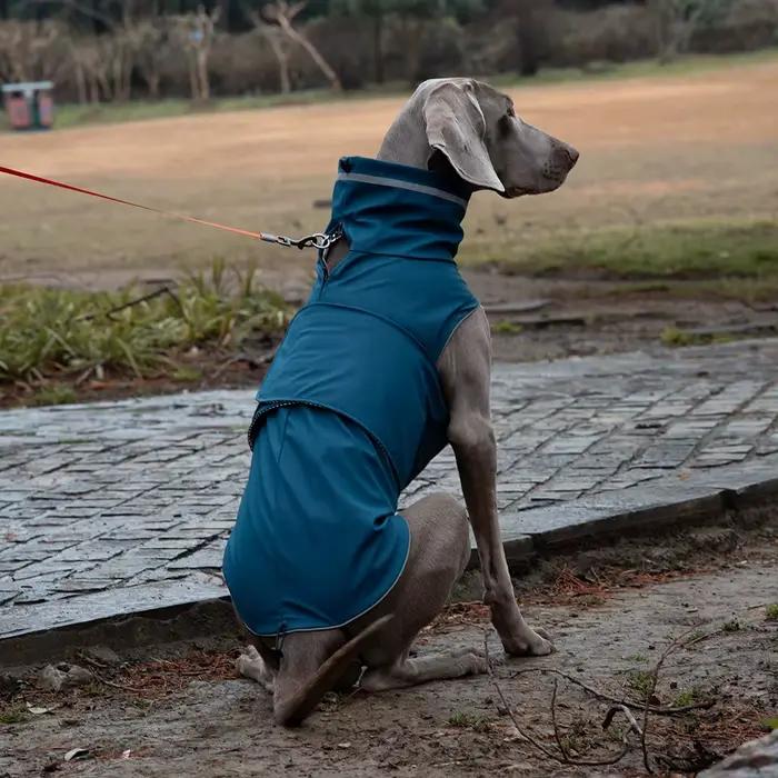 Imperméable pour chien de petite et grande taille, vêtements respirants pour chien moyen et grand, v