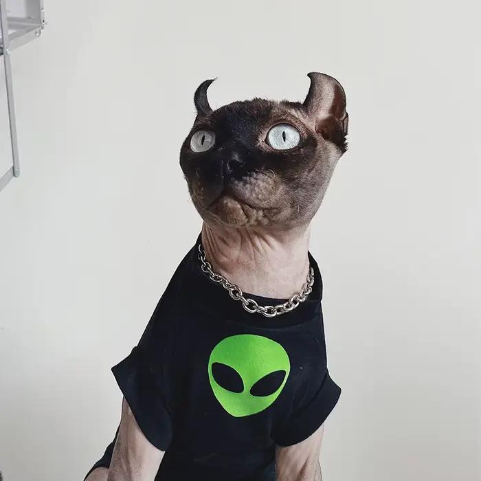 Vêtements Alien Sphynx pour animaux de compagnie, vêtements pour chat sans poils, t-shirt en coton G