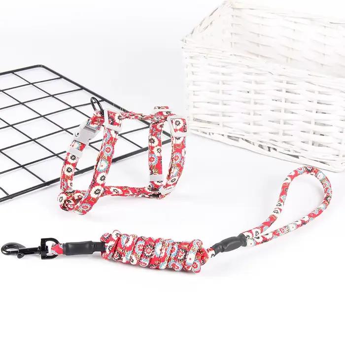 Collier pour chien, harnais, laisse réglable, Traction pour chat, chaton, licou, produits pour chats